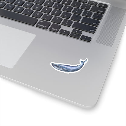 Humpback Whale Sticker, Blue Watercolor vsco Laptop Vinyl Cute Waterproof for Waterbottle Tumbler Car Bumper Aesthetic Label Wall Decal Starcove Fashion