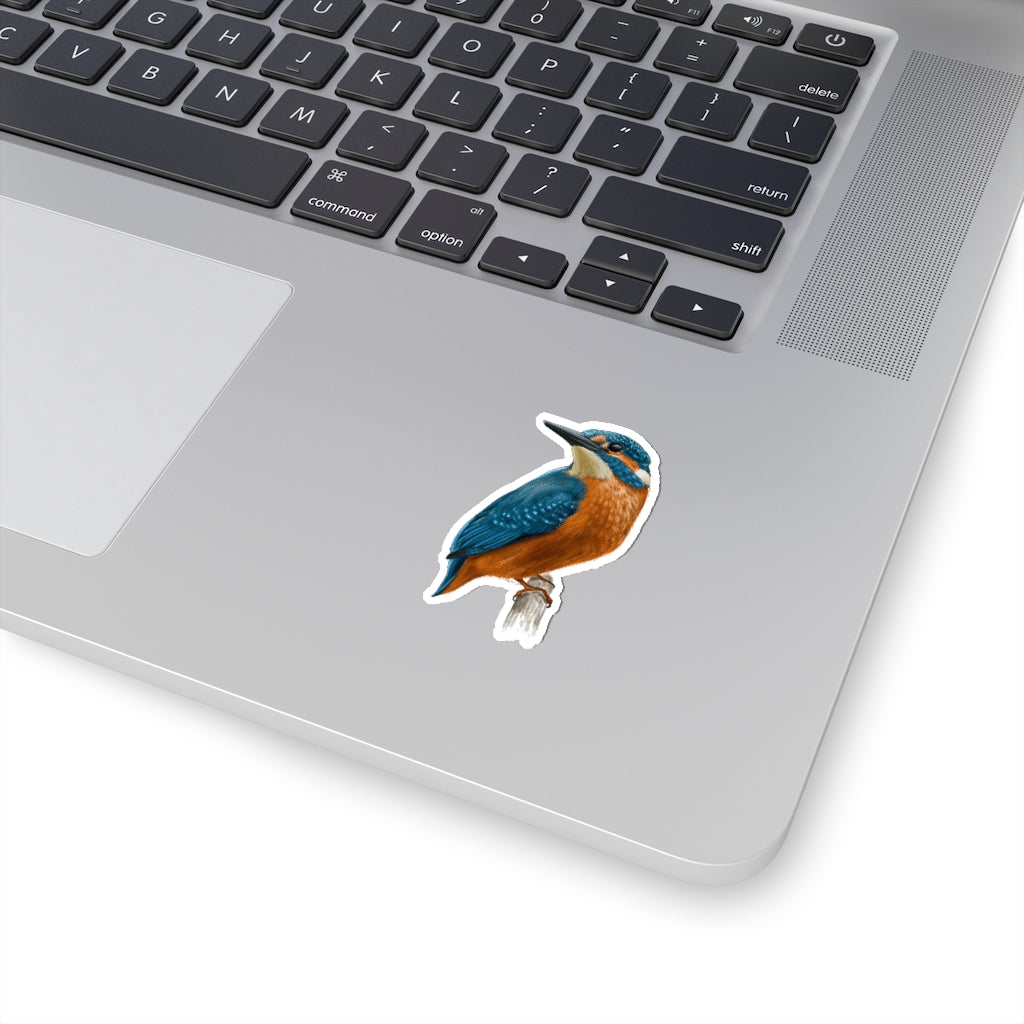 Kingfisher Bird Sticker, Nature Animals Tropical Laptop Decal Vinyl Cute Waterbottle Tumbler Car Bumper Aesthetic Die Cut Wall Mural Starcove Fashion