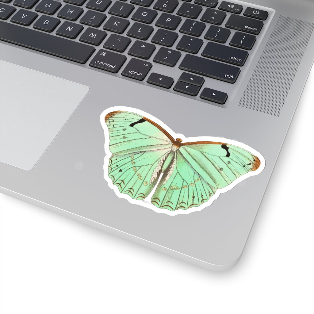 Green Butterfly Sticker, Animal Laptop Decal Vinyl Cute Waterbottle Tumbler Car Waterproof Bumper Aesthetic Die Cut Wall Mural Starcove Fashion