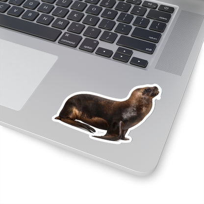 Sea Lion Sticker, Marine Animal Laptop Decal Vinyl Cute Waterbottle Tumbler Car Waterproof Bumper Die Cut Wall Mural Starcove Fashion