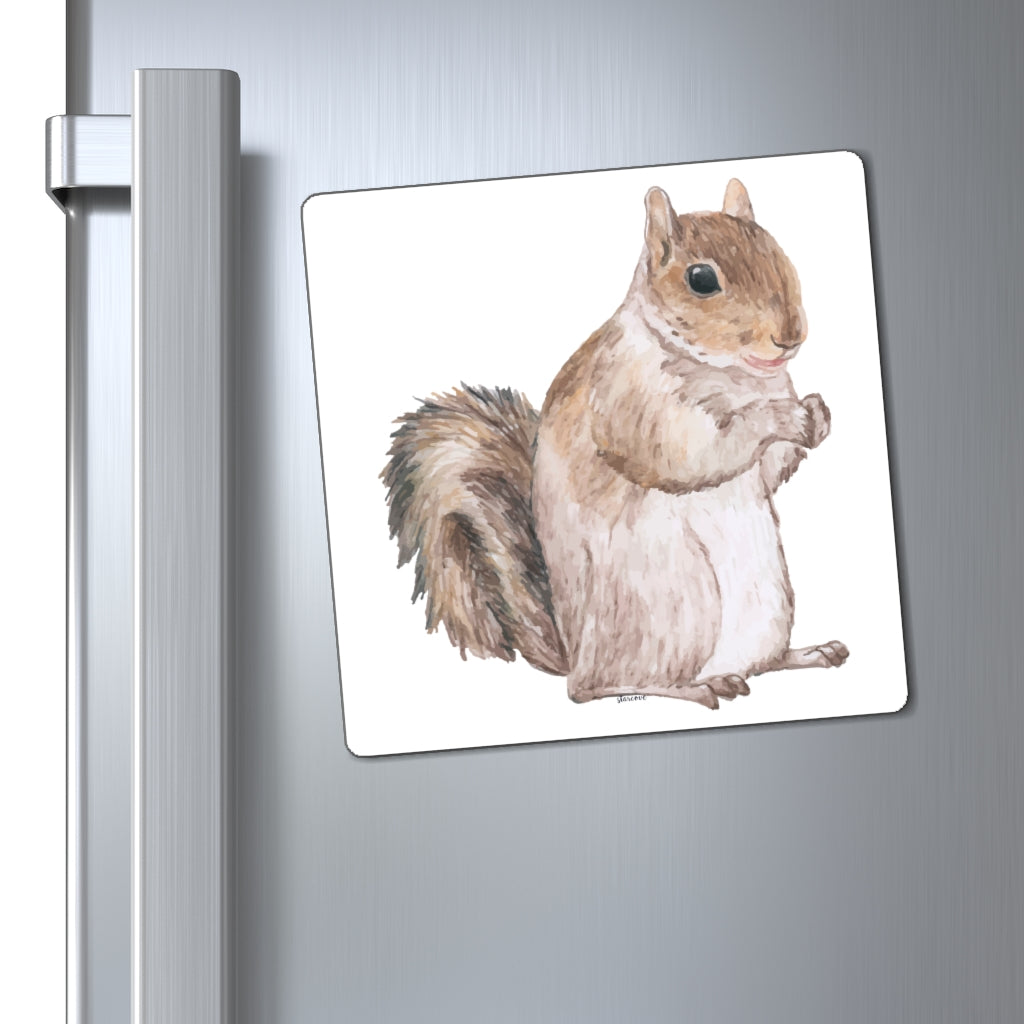 Squirrel Magnets, Animal Watercolor Square Fridge Refrigerator Car Locker Cute Inspirational Quote Kitchen Magnet Starcove Fashion