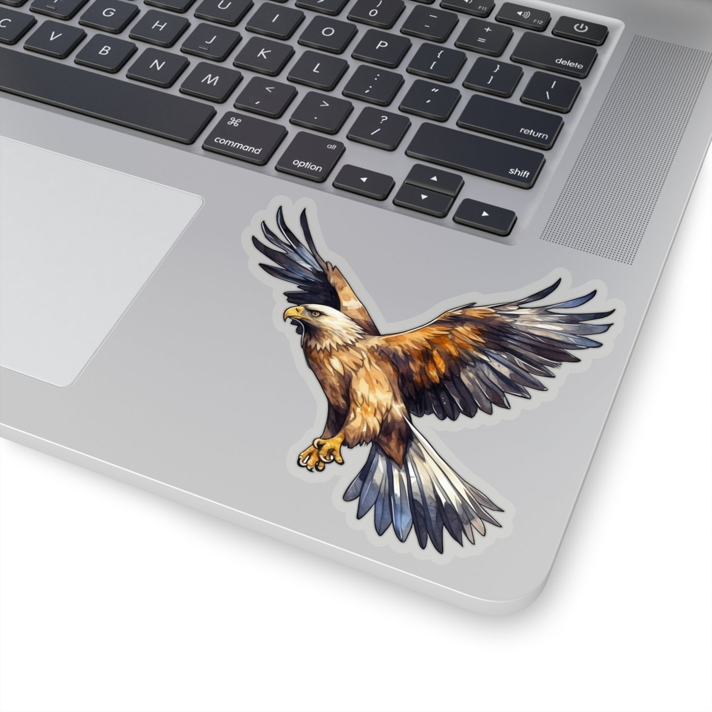 Golden Eagle Sticker, Raptor Bird Art Laptop Decal Vinyl Cute Waterbottle Tumbler Car Waterproof Bumper Clear Aesthetic Die Cut Wall Starcove Fashion