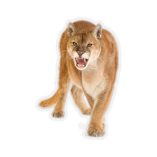 Mountain Lion Sticker, Cougar Puma Big Cat Laptop Decal Vinyl Cute Waterbottle Tumbler Car Waterproof Bumper Aesthetic Die Cut Wall Mural Starcove Fashion