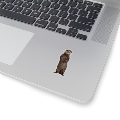 Otter Sticker, Asian Small Clawed Sea Animal Laptop Decal Vinyl Cute Waterbottle Tumbler Car Waterproof Bumper Clear Die Cut Wall Mural Starcove Fashion