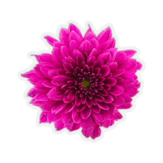 Pink Dahlia Sticker, Flower Floral Art Laptop Decal Vinyl Cute Waterbottle Tumbler Car Waterproof Bumper Aesthetic Die Cut Wall Mural Starcove Fashion