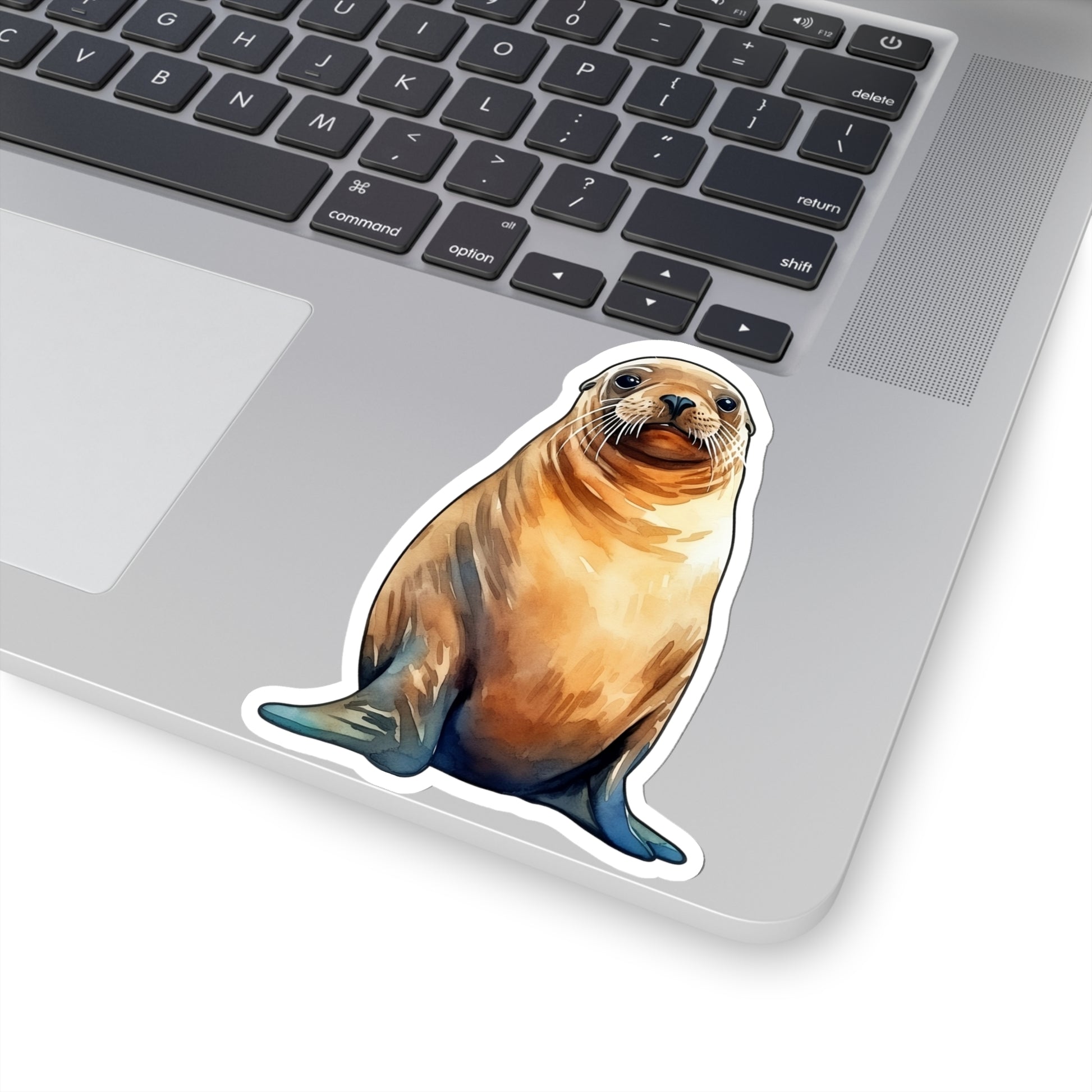 Sea Lion Sticker, Marine Ocean Animal Art Laptop Decal Vinyl Cute Waterbottle Tumbler Car Waterproof Bumper Clear Die Cut Wall Starcove Fashion