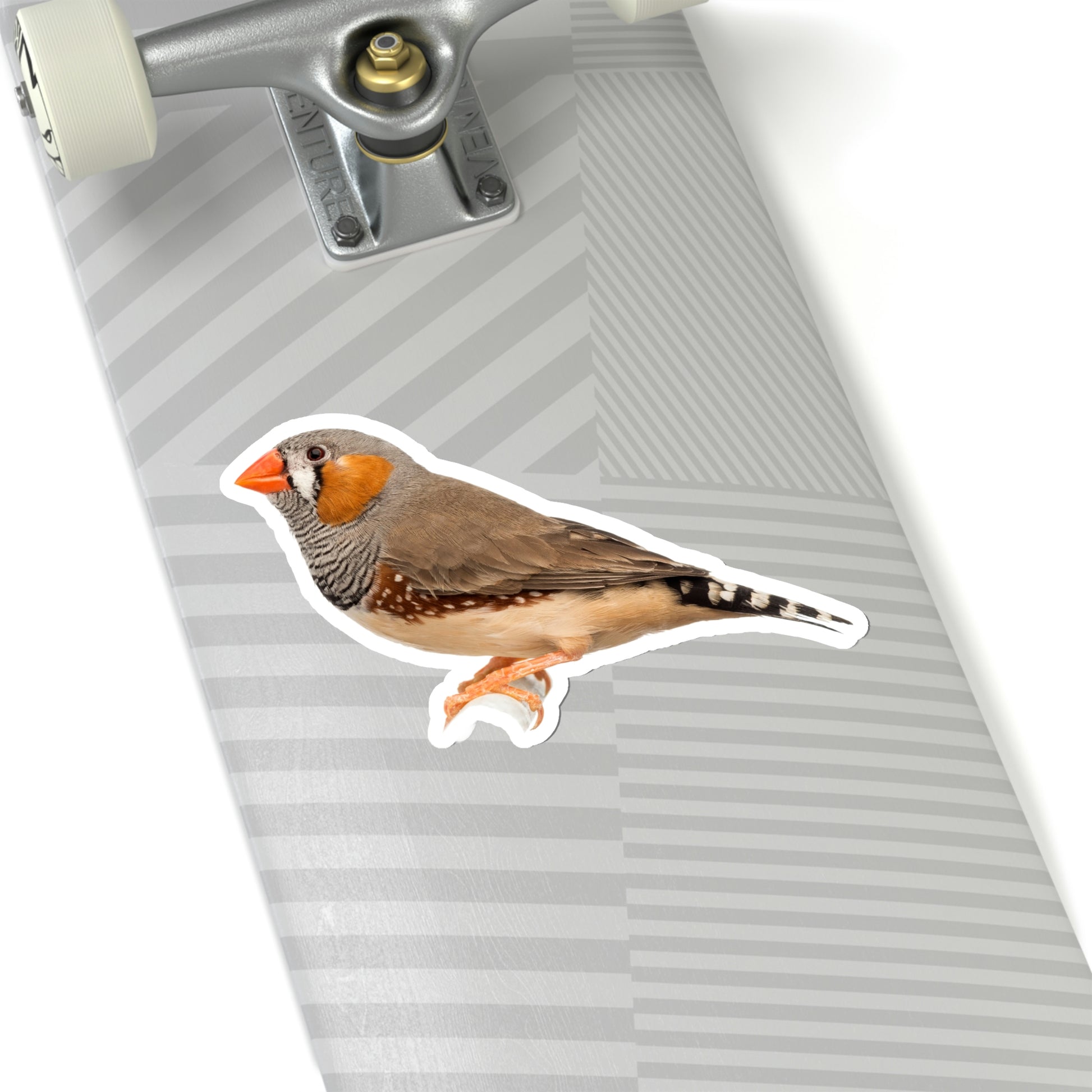 Zebra Finch Sticker, Bird Animal Laptop Decal Vinyl Cute Waterbottle Tumbler Car Waterproof Bumper Aesthetic Die Cut Wall Mural Starcove Fashion