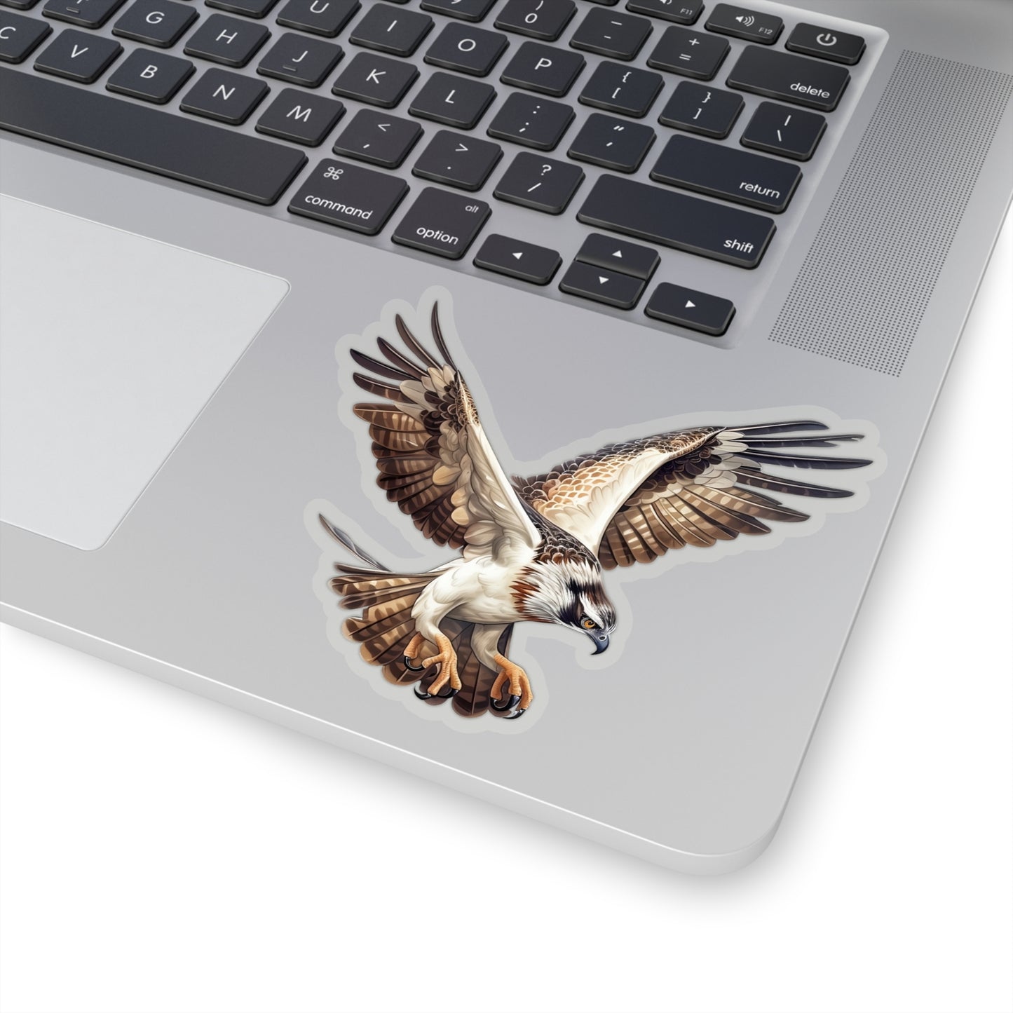 Osprey Sticker, Hawk Talons Raptor Bird Art Laptop Decal Vinyl Waterbottle Tumbler Car Waterproof Bumper Aesthetic Die Cut Wall Clear Starcove Fashion