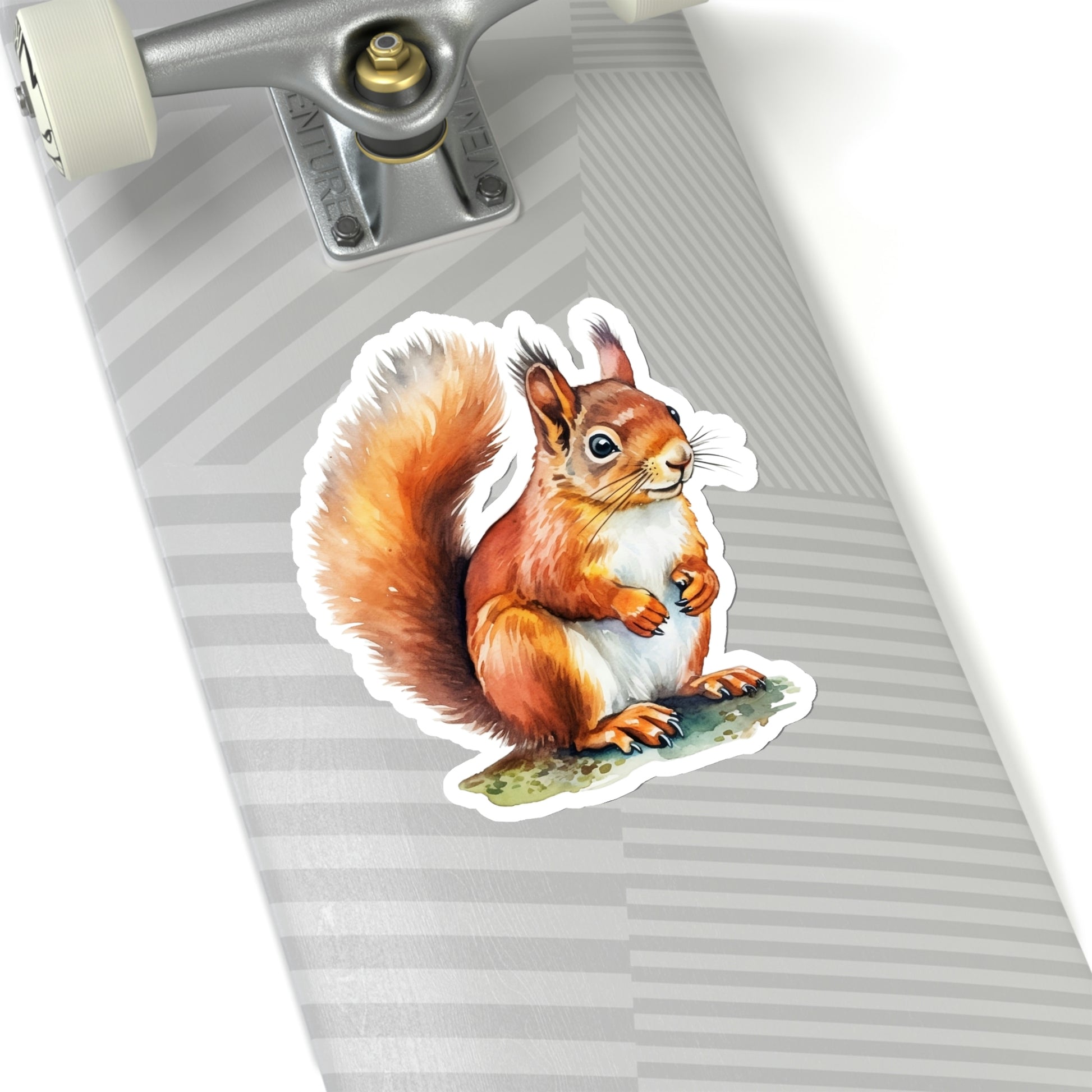 Squirrel Sticker, Animal Art Laptop Decal Vinyl Cute Waterbottle Tumbler Car Waterproof Bumper Aesthetic Die Cut Wall Clear Starcove Fashion