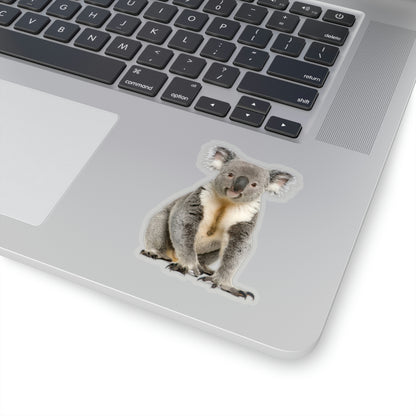 Koala Bear Sticker, Male Australian Animal Cute Vinyl Decal Label Phone Transparent Clear Small Large Cool Art Computer Hydro Flask