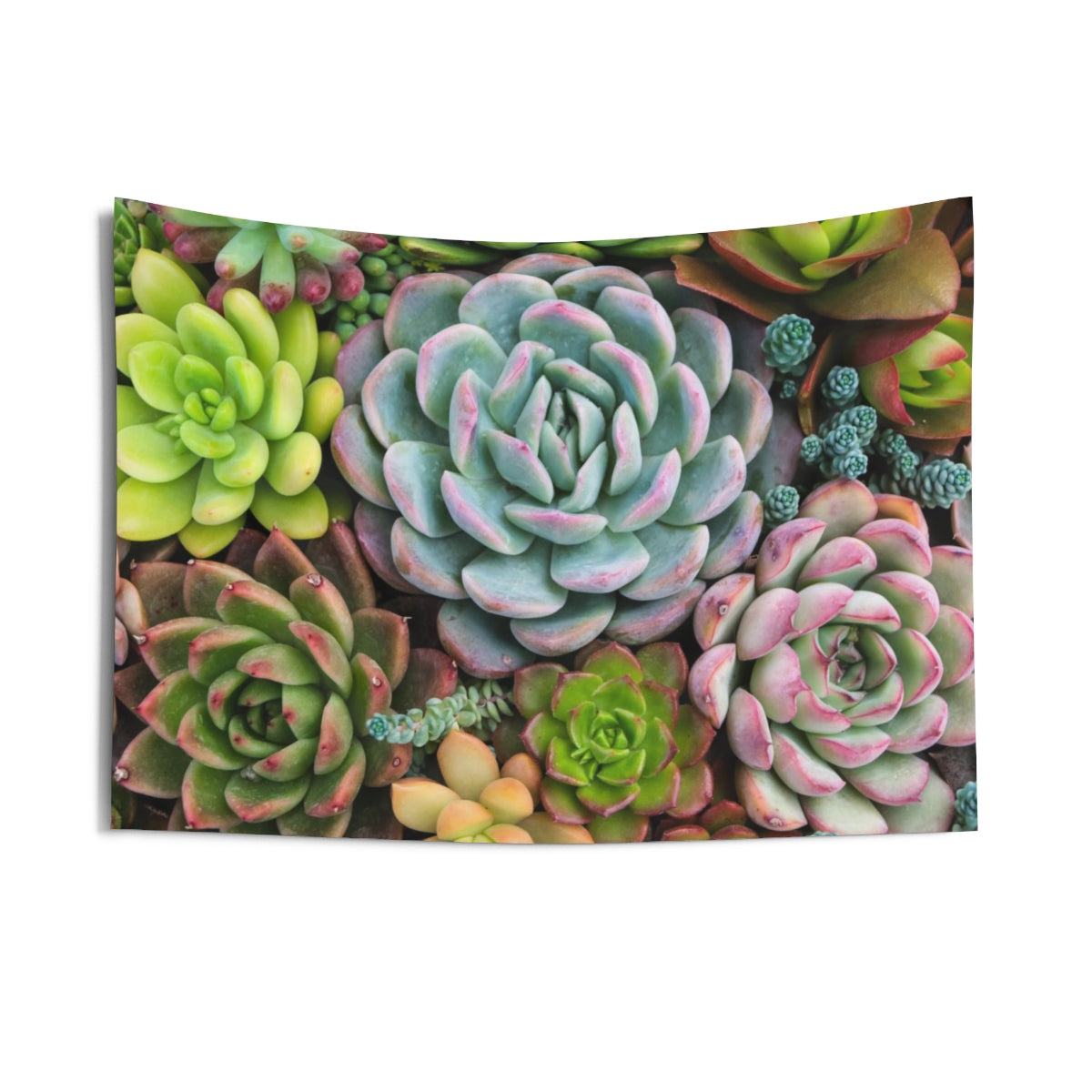 succulents tapestry Cactus Tapestry, Succulent Botanical Plants Nature Landscape Indoor Wall Art Hanging Tapestries Decor Home Dorm Room Small Large 36x26