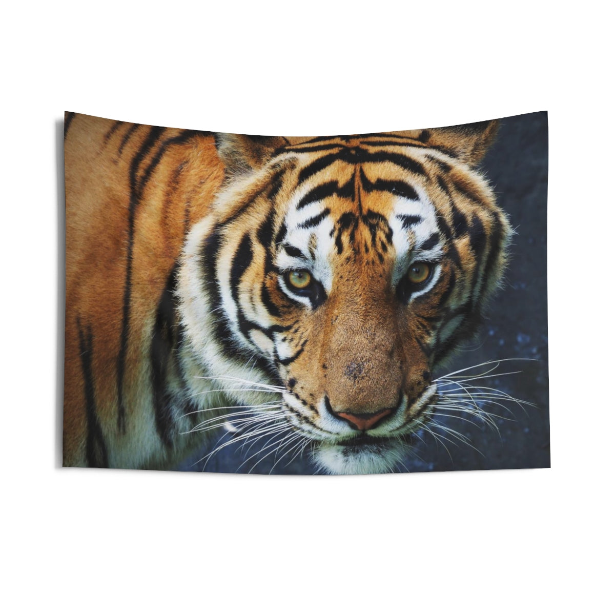 Tiger Tapestry, Nature Indoor Animal Wall Art Hanging Print Tapestries, Big Cat Tiger Dorm Decor Gift Starcove Fashion