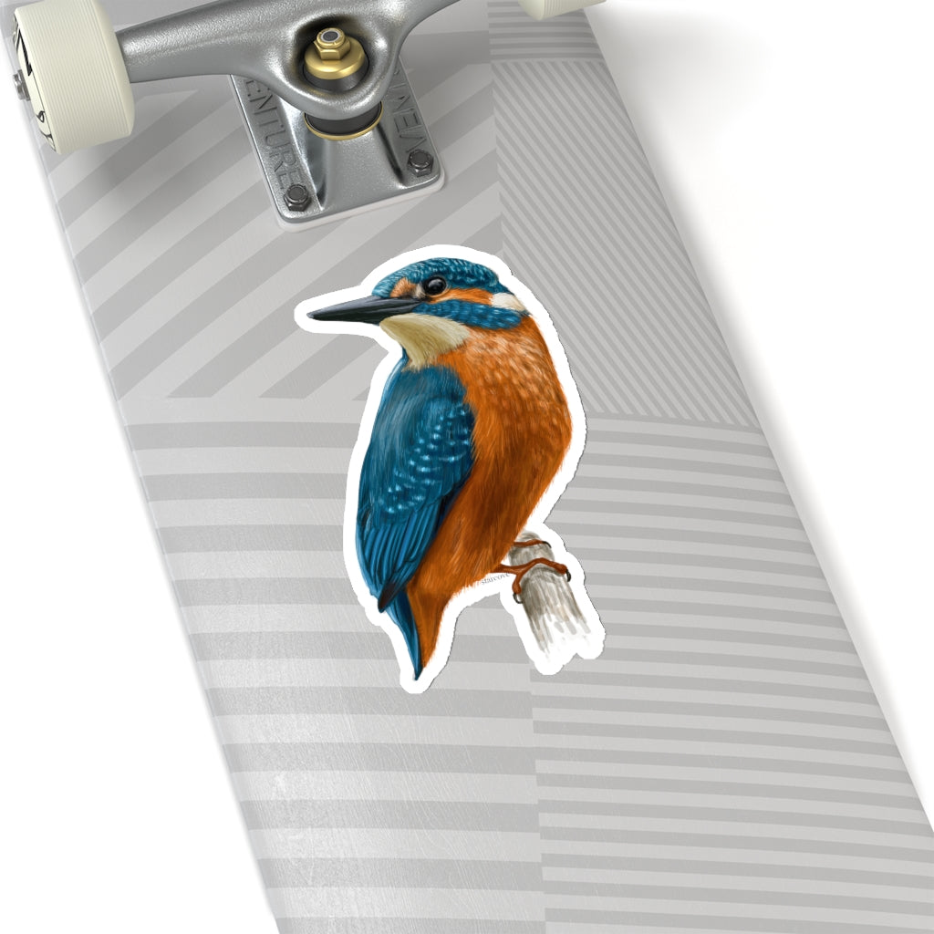 Kingfisher Bird Sticker, Nature Animals Tropical Laptop Decal Vinyl Cute Waterbottle Tumbler Car Bumper Aesthetic Die Cut Wall Mural Starcove Fashion
