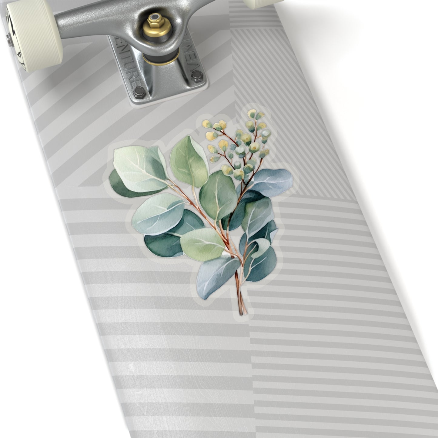 Eucalyptus Sticker, Plant Nature Art Laptop Decal Vinyl Cute Waterbottle Tumbler Car Waterproof Bumper Aesthetic Die Cut Wall Clear