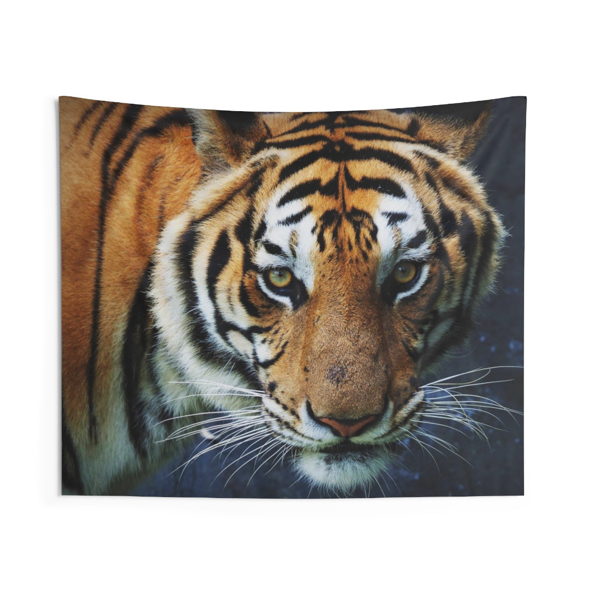 Tiger Tapestry, Nature Indoor Animal Wall Art Hanging Print Tapestries, Big Cat Tiger Dorm Decor Gift Starcove Fashion