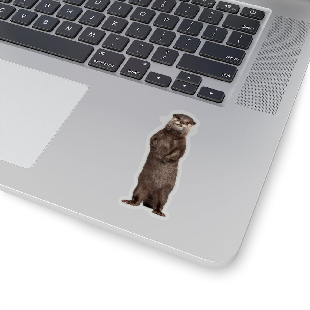 Otter Sticker, Asian Small Clawed Sea Animal Laptop Decal Vinyl Cute Waterbottle Tumbler Car Waterproof Bumper Clear Die Cut Wall Mural Starcove Fashion