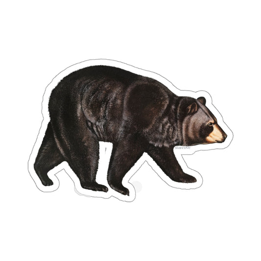 Black Bear Sticker, Laptop Decal Vinyl Cute Waterbottle Tumbler Car Waterproof Bumper Aesthetic Die Cut Wall Mural Starcove Fashion